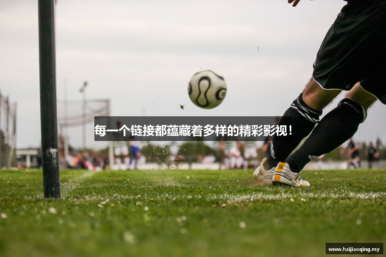 每一个链接都蕴藏着多样的精彩影视！